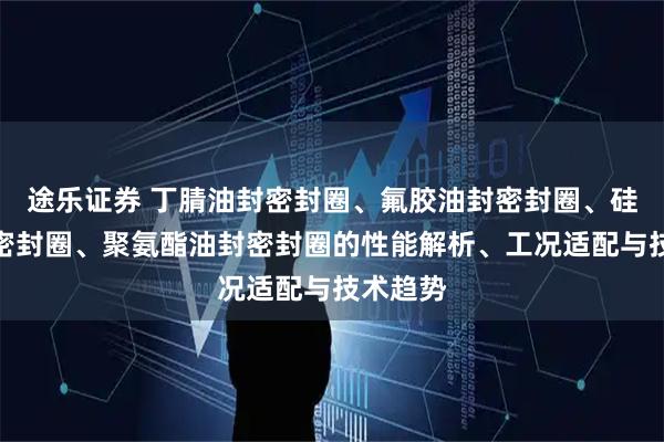 途乐证券 丁腈油封密封圈、氟胶油封密封圈、硅胶油封密封圈、聚氨酯油封密封圈的性能解析、工况适配与技术趋势